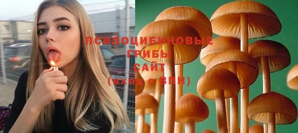 ПСИЛОЦИБИНОВЫЕ ГРИБЫ Абинск