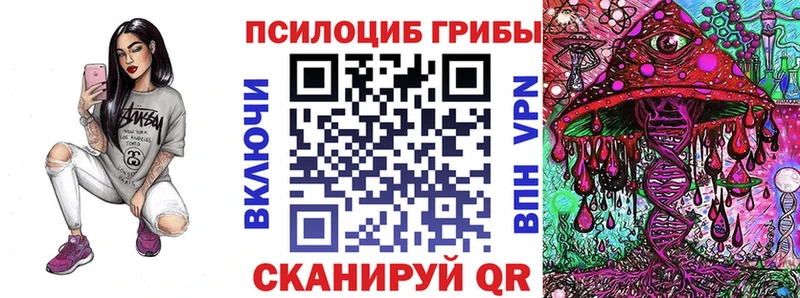 Псилоцибиновые грибы мухоморы  где продают   Сальск 